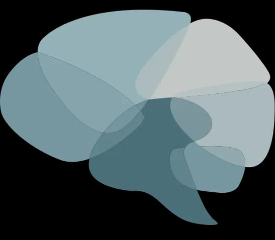 Dialectica Центр найчно-практической психологии